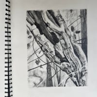 Image 2 of [Sketchbook] Peeling Bark 