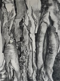 Image 1 of Tonal Study, Tree Bark