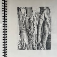 Image 2 of Tonal Study, Tree Bark