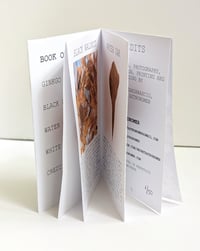 Image 2 of BOOK OF LEAVES