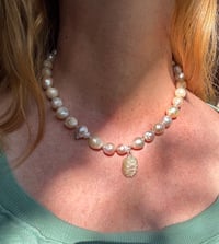 Image 7 of Matriarch 