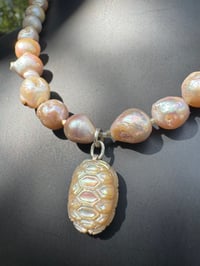 Image 14 of Matriarch 