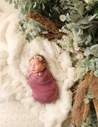Image 5 of Newborn MINI SESSION (baby ONLY - or family ONLY ) 350$