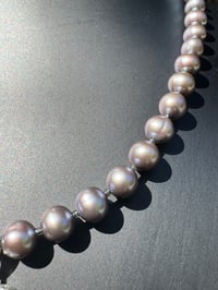 Image 6 of Imaginary Heron 