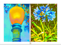 STAND UP STRAIGHT DIPTYCH