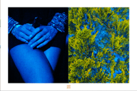 DIPTYCH BLUE