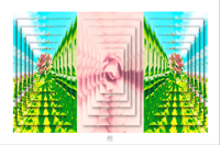 MULTI FLORAL TRIPTYCH