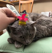 Image 4 of Crab Hats, Hats for Crabs! Photoprop Hats Zine