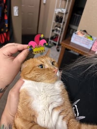 Image 5 of Crab Hats, Hats for Crabs! Photoprop Hats Zine