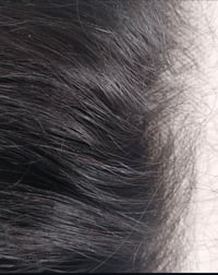 Image 3 of The 1 - 18” Main Character Curl Closure - $219