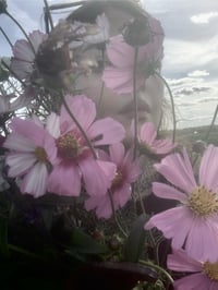 Image 3 of Taurus Perfume (Rose, Benzoin, Magnolia, Vanilla)