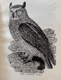 Image 5 of Wood Engravings by Thomas Bewick