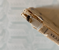 Image 2 of A book of Ducks A King Penguin Book