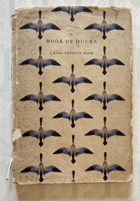 Image 1 of A book of Ducks A King Penguin Book