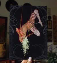 Image 1 of TOK: Bound Wynnflaed