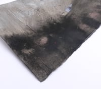 Image 3 of "Secrets of the Earth" original painting