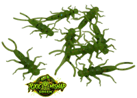 Image 20 of 2" Stonefly (8 Pack)