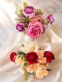 Image 5 of The Petite Joon 