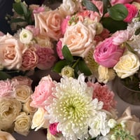 Image 2 of The Petite Joon 