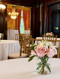 Image 4 of The Petite Joon 