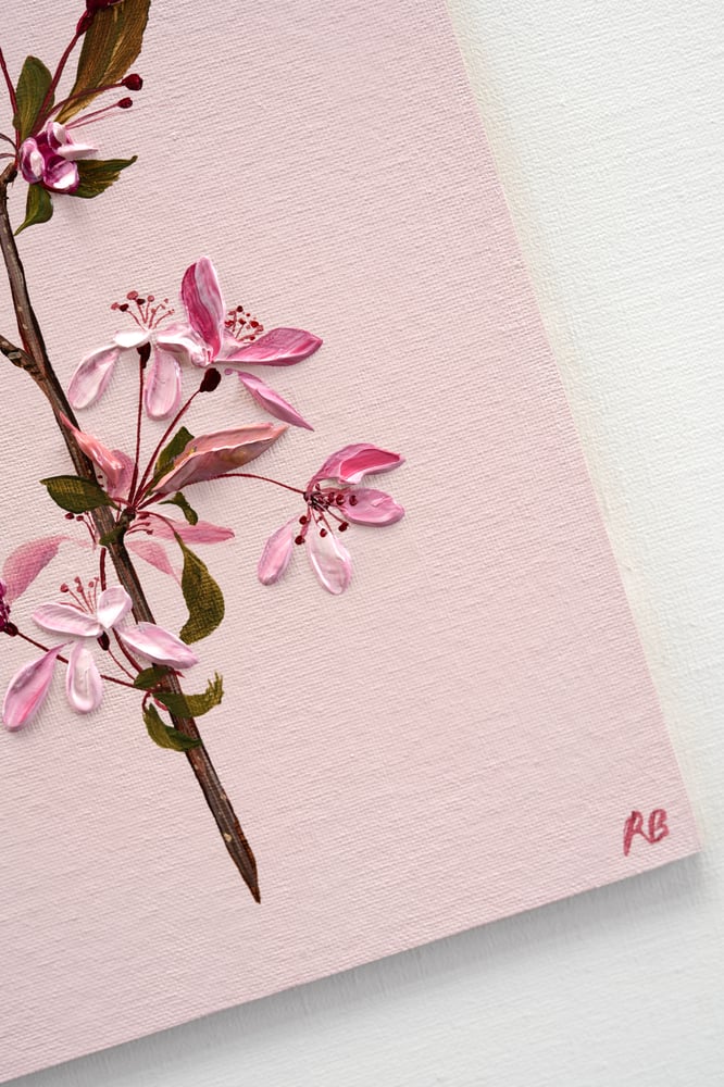 Image of Malus Blossom II