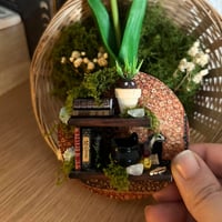 Image 1 of Estantería con imán. Herbology. Preventa