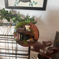 Image 2 of Estantería con imán. Herbology. Preventa