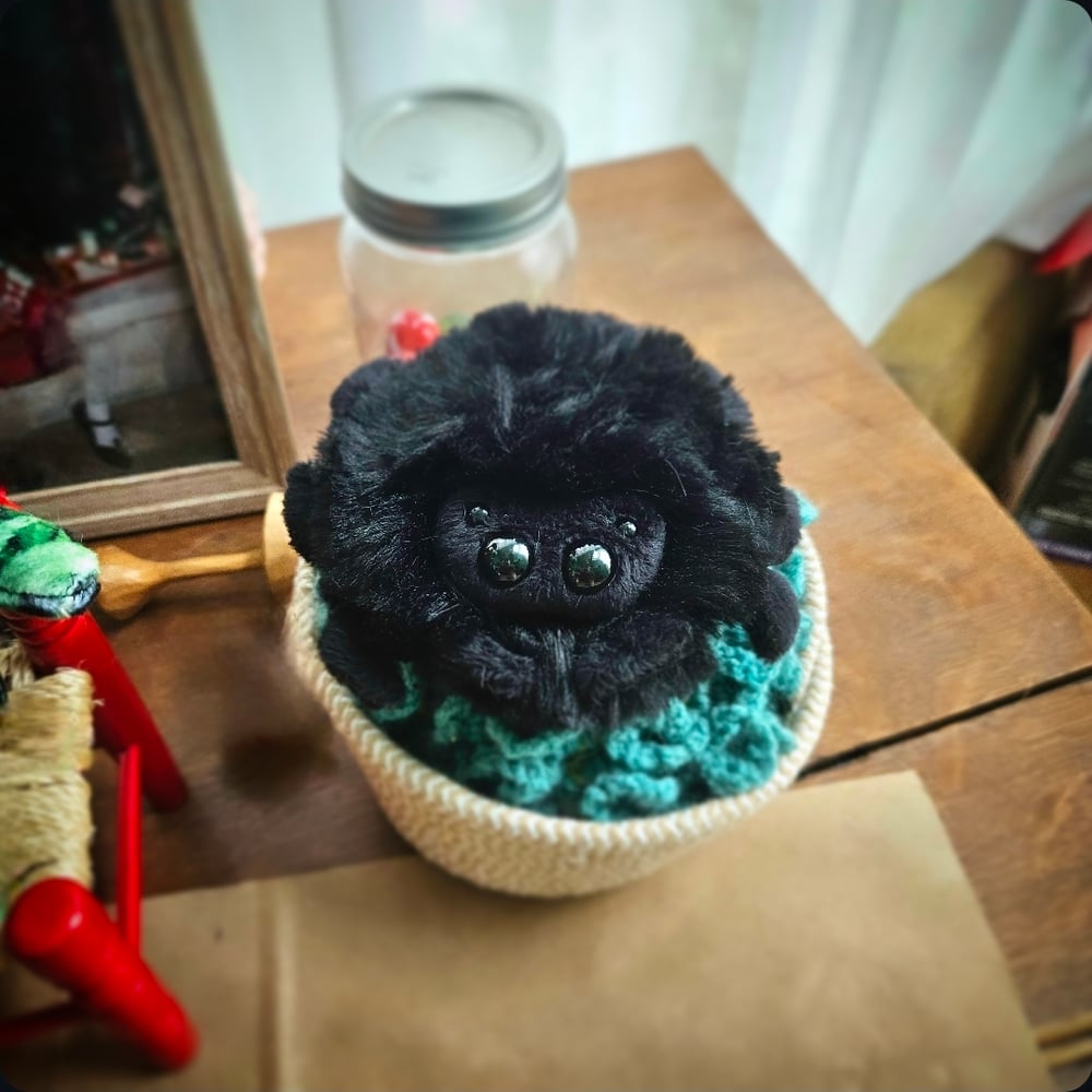 Image of Mini Tarantula