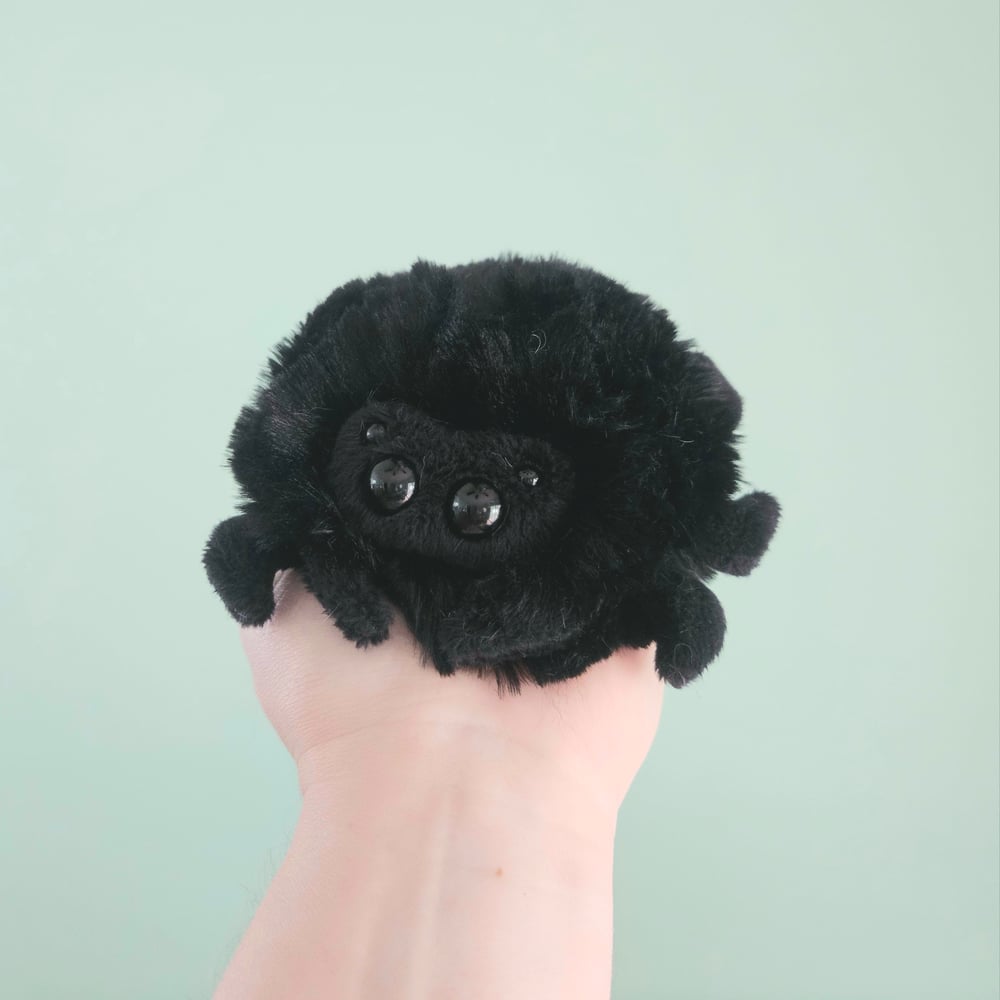 Image of Mini Tarantula