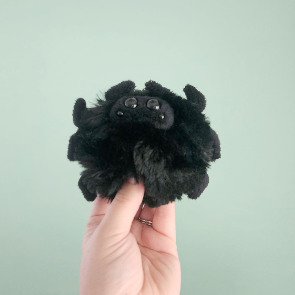 Image of Mini Tarantula