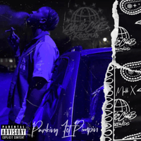 Parking Lot Pimpin' (Song)