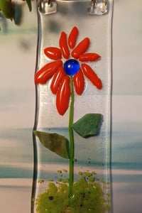 Image 2 of Mexican Sunflower