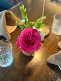 Image 2 of The Bud Joon 