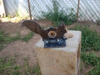 Image 2 of Squirrel adjustible