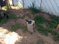 Image 3 of Squirrel adjustible