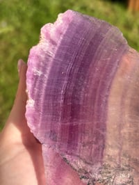 Image 5 of Fluorite Statement Piece