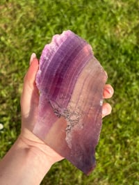 Image 11 of Fluorite Statement Piece