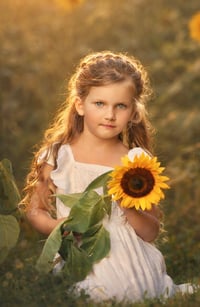 Image 2 of 2026 Sunflower Sessions September 11th and September 13th