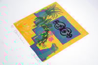 Image 2 of Collioure Sunshine