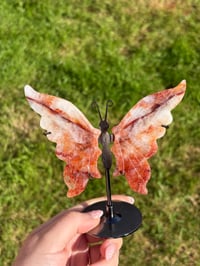 Image 1 of Fire Quartz Butterfly Wings on Stand