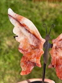 Image 2 of Fire Quartz Butterfly Wings on Stand