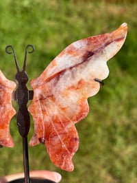 Image 3 of Fire Quartz Butterfly Wings on Stand