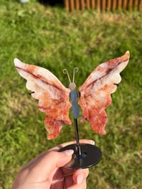 Image 5 of Fire Quartz Butterfly Wings on Stand