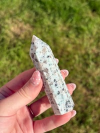Image 1 of Kiwi Jasper Point