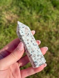 Image 2 of Kiwi Jasper Point