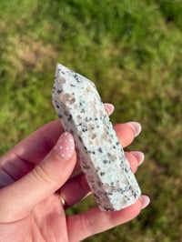 Image 3 of Kiwi Jasper Point