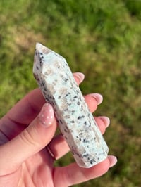 Image 4 of Kiwi Jasper Point