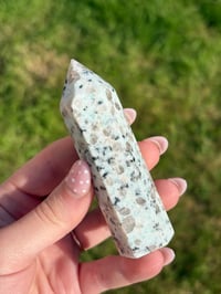 Image 5 of Kiwi Jasper Point