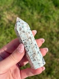 Image 6 of Kiwi Jasper Point