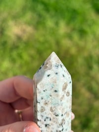 Image 7 of Kiwi Jasper Point